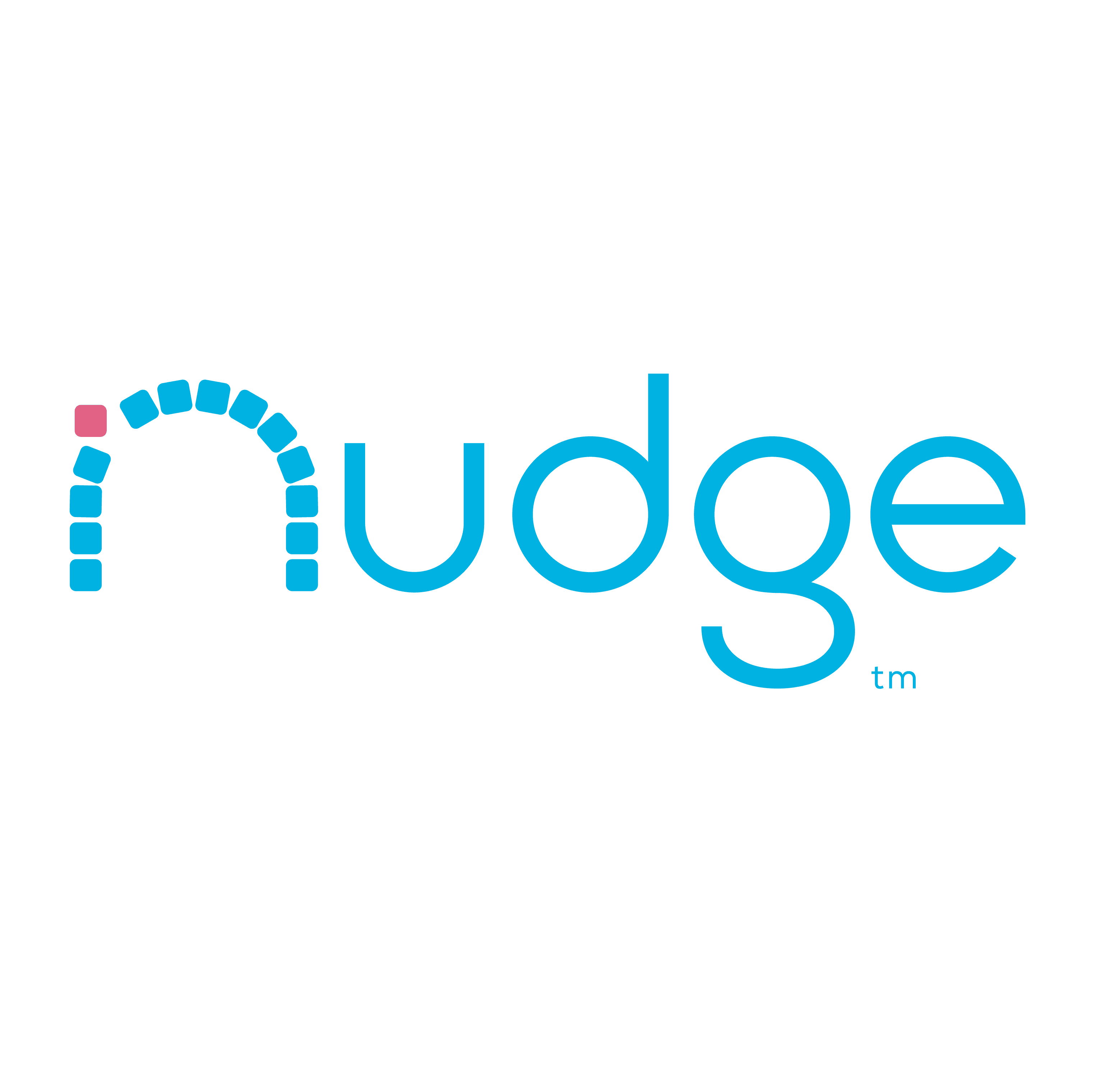 19-0782_NudgeLogoSingles_InsigniaInType_FC